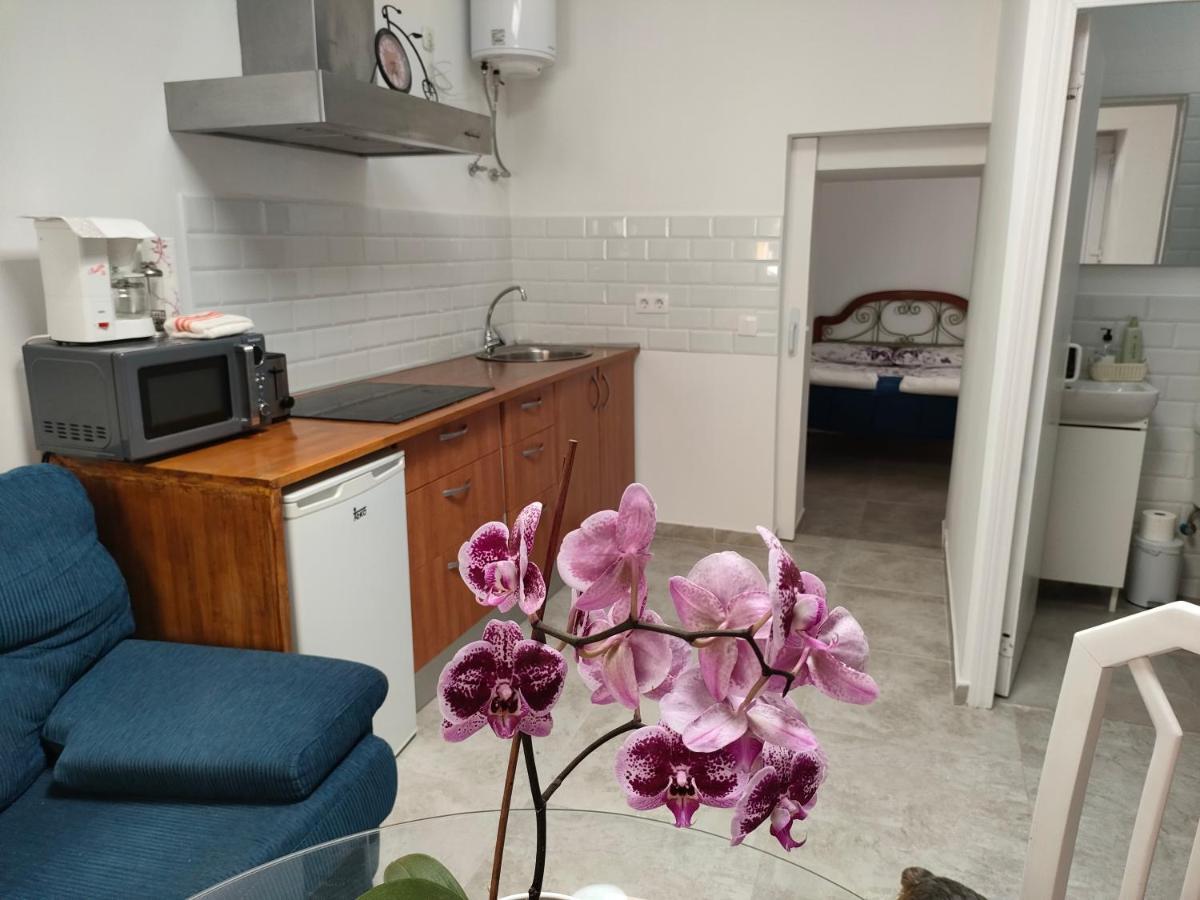 푸에르토델로사리오 Casa Alba 1 아파트 외부 사진